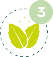 Art et Jardin Paysager - entretien jardin Eure - icone feuille